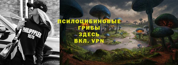 гидра Горно-Алтайск