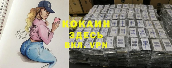 Альфа ПВП Вяземский