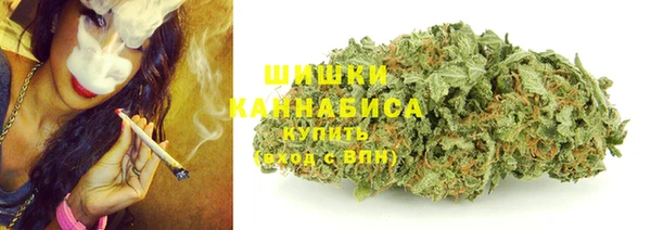 гидра Горно-Алтайск